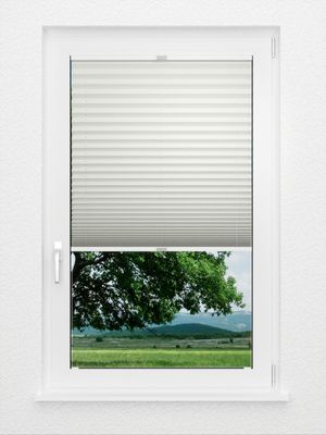 Preview Plissee Libretto 1700.4219 2
