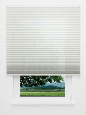 Plissee All Over 6301.2003 Fensteransicht