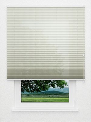 Plissee All Over 6102.2001 Fensteransicht