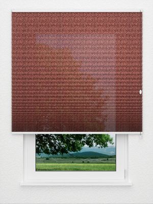 Plissee Tendrils 5204.1515 Fensteransicht