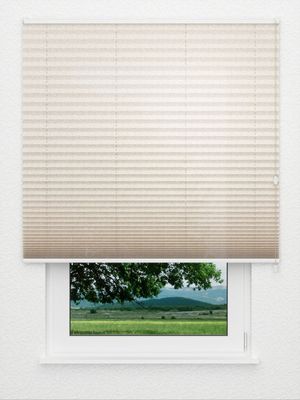 Plissee Tendrils 5202.1520 Fensteransicht