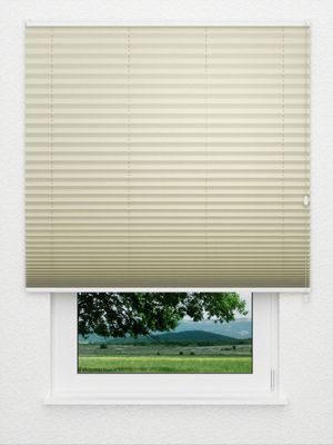 Plissee Kantate 4211.5011 Fensteransicht