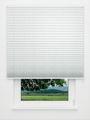 Plissee Flamenco 5700.5029 Fensteransicht