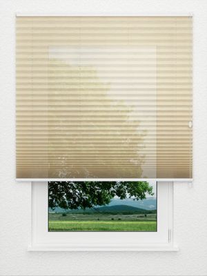 Plissee Sensibile 7901.6253 Fensteransicht