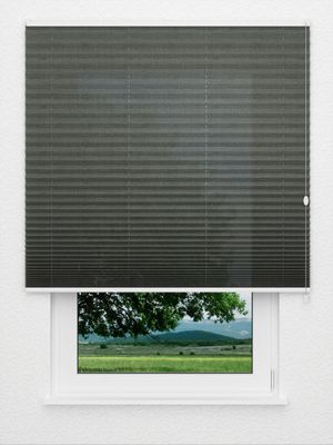 Plissee Daylight Melange 5009.5006 Fensteransicht