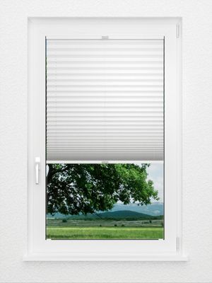 Preview Plissee Bambus 3500.1706 2