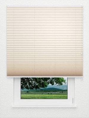 Plissee Bambus 3510.1805 Fensteransicht