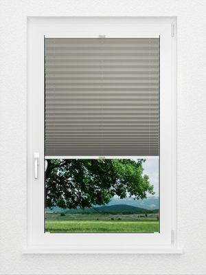 Preview Plissee Riffle 3309.5065 2