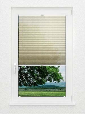 Preview Plissee Chequerwise 5002.8755 2