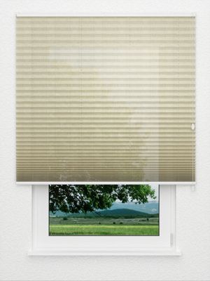 Plissee Chequerwise 5002.8755 Fensteransicht