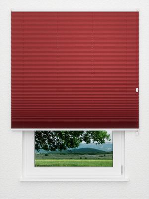 Plissee Krepp Perl B1 1502.0112 Fensteransicht