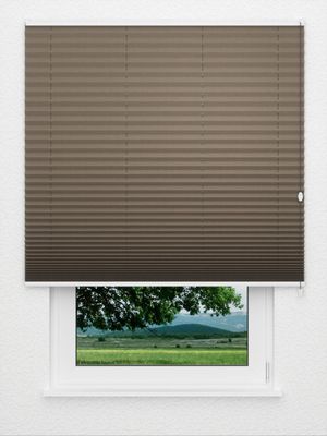 Plissee Krepp Perl B1 1504.1318 Fensteransicht