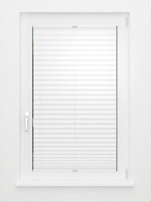 Preview Plissee Risoluto 4400.3107 3