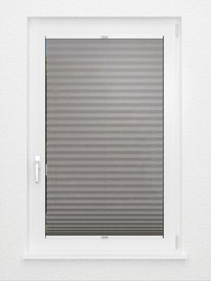 Preview Plissee Crush 2081.1307 3