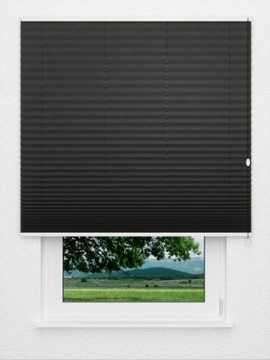 Plissee Crush Perl 2581.1207 Fensteransicht