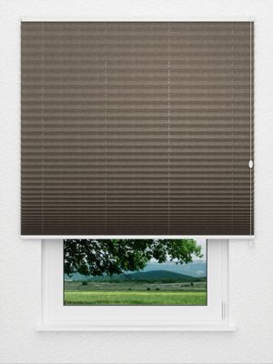 Plissee Concerto 3770.3503 Fensteransicht