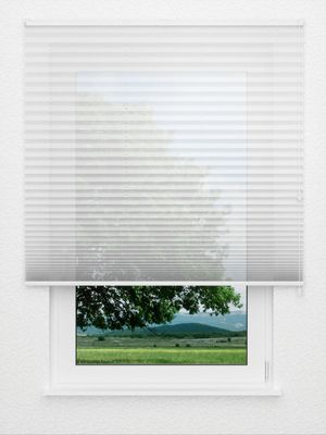 Plissee Allegro 1200.3205 Fensteransicht