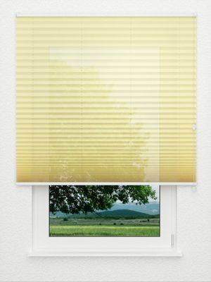 Plissee Allegro 1220.3210 Fensteransicht