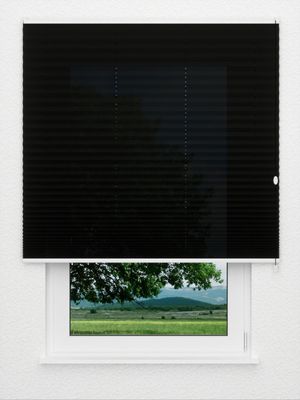 Plissee Kreppa 1308.1156 Fensteransicht