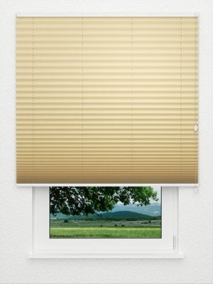 Plissee Kreppa 1302.1253 Fensteransicht