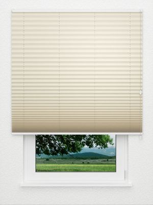Plissee Kreppa 1302.0352 Fensteransicht