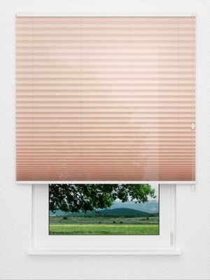 Plissee Empty 5304.9751 Fensteransicht