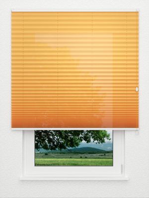 Plissee Empty 5416.9754 Fensteransicht