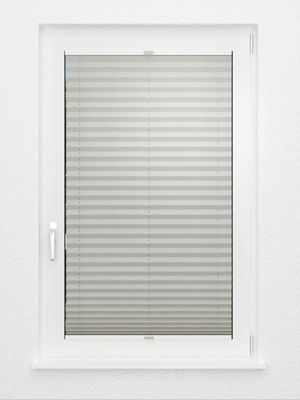 Preview Plissee Smooth DO 8009.4156 3