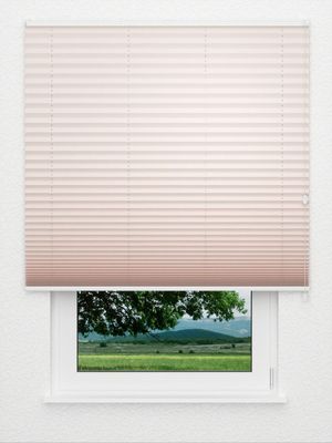 Plissee Krepp Dark 4504.0908 Fensteransicht