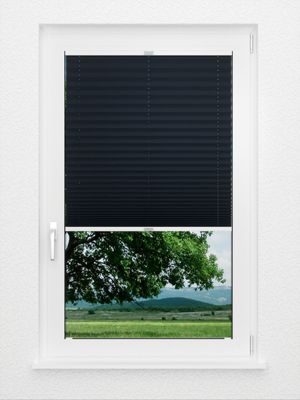 Preview Plissee Krepp Black Out 4125.4259 2