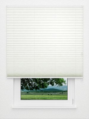 Plissee Stentando 6101.5030 Fensteransicht