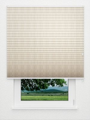 Preview Plissee Infernale 3170.4208 0