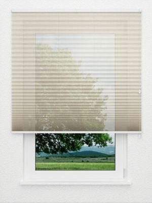 Plissee Fortissimo 2711.3403 Fensteransicht