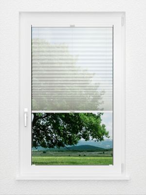 Preview Plissee Fortissimo 2710.3411 2
