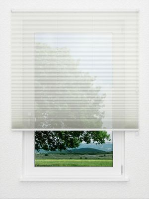 Plissee Fortissimo 2710.3411 Fensteransicht
