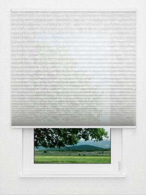 Plissee Grass Flowers 3501.0810 Fensteransicht