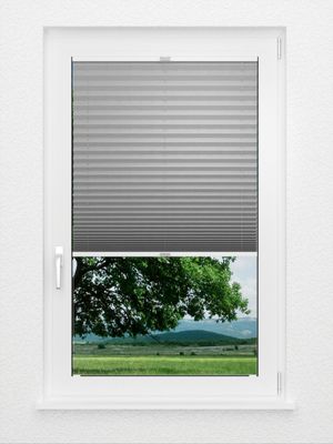 Preview Plissee Dusky 4109.0311 2