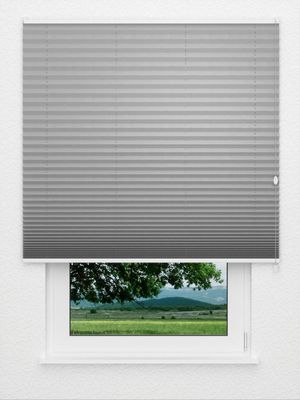 Preview Plissee Dusky 4109.0311 0