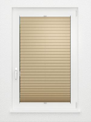 Preview Plissee Dusky 4302.0313 3