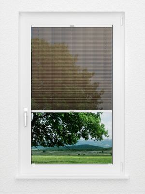 Preview Plissee Pasodoble 8370.6101 2