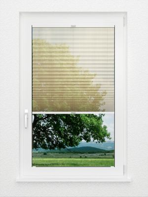 Preview Plissee Pasodoble 8310.6103 2