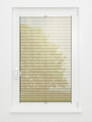 Preview Plissee Pasodoble 8310.6103 3