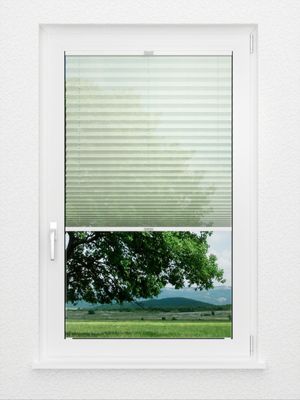 Preview Plissee Green Light 5106.5040 2
