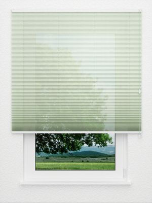 Plissee Green Light 5106.5040 Fensteransicht