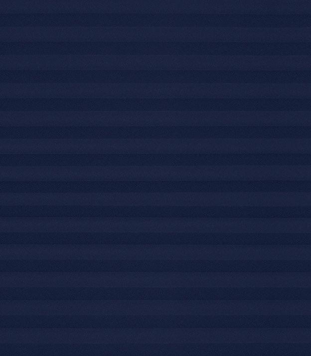 Detailansicht Plissee Krepp B1 24.0402