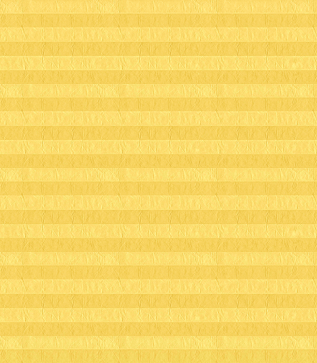 Detailansicht Plissee Crush 2021.1905