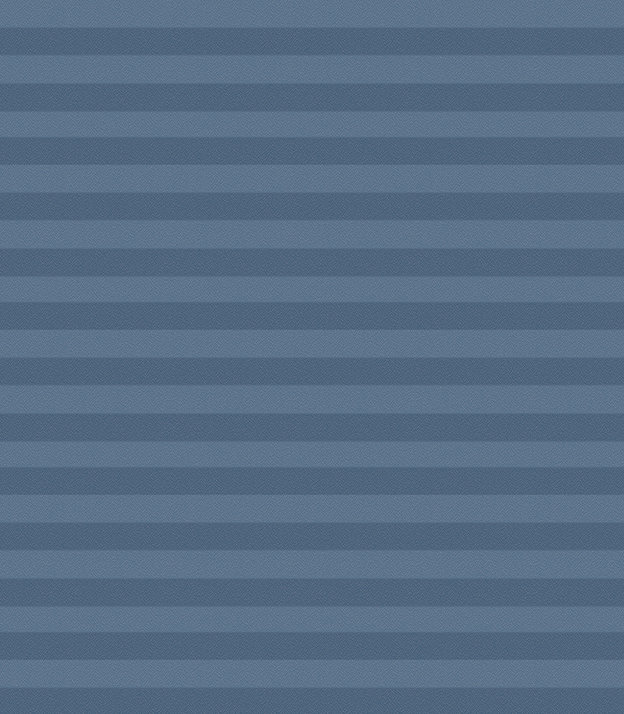 Detailansicht Plissee Kreppa Perlex 1605.1163