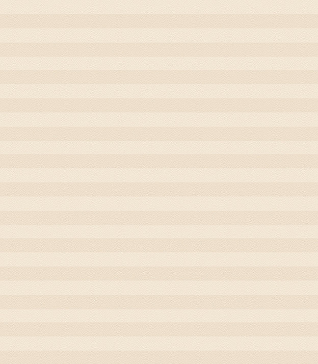 Detailansicht Plissee Kreppa Perlex 1602.1254