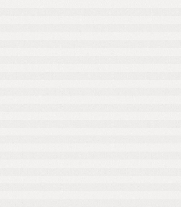 Detailansicht Plissee Kreppa Perlex 1601.1554