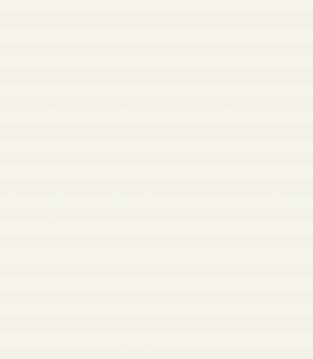 Detailansicht Plissee Kreppa Perlex 1601.1558